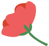 타이틀 꽃 이미지